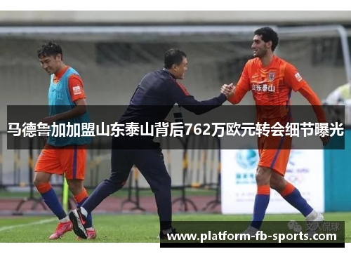 马德鲁加加盟山东泰山背后762万欧元转会细节曝光 马德鲁加加盟山东泰山背后762万欧元转会细节曝光
