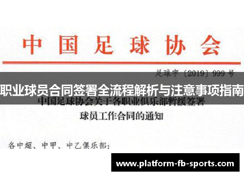 职业球员合同签署全流程解析与注意事项指南 职业球员合同签署全流程解析与注意事项指南