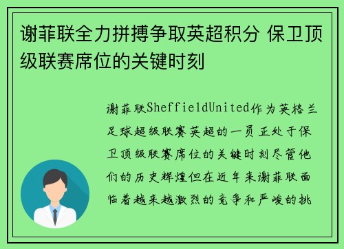 谢菲联全力拼搏争取英超积分 保卫顶级联赛席位的关键时刻