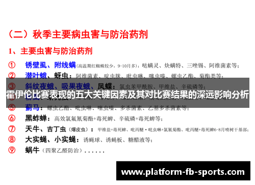 霍伊伦比赛表现的五大关键因素及其对比赛结果的深远影响分析
